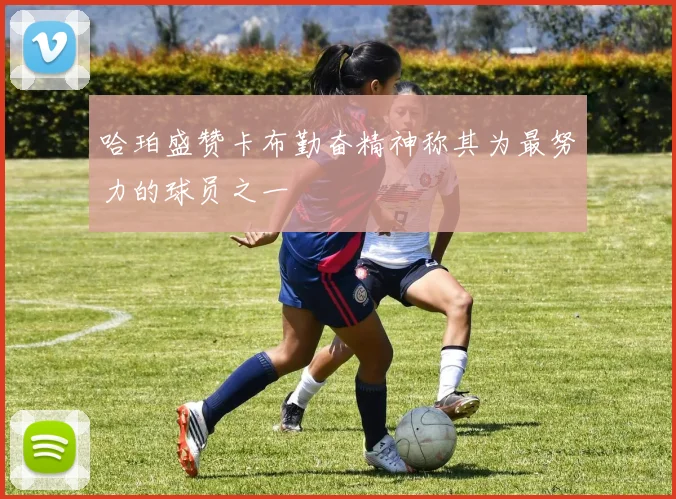 哈珀盛赞卡布勤奋精神称其为最努力的球员之一