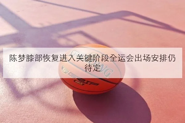 陈梦膝部恢复进入关键阶段全运会出场安排仍待定
